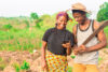 Digitally Enabled Farmer to Transform the Agricultural Sector